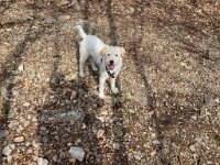 Lijak März 2020 - 10